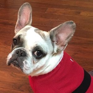 Meet your Posher, Randi